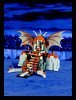 Notice / Instructions de Montage - LEGO - 4767 - Harry And The Hungarian Horntail: Page 28