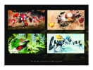 Notice / Instructions de Montage - LEGO - 8562 - Gahlok: Page 38