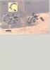 Notice / Instructions de Montage - LEGO - 10023 - BIONICLE: Page 19