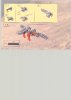 Notice / Instructions de Montage - LEGO - 10023 - BIONICLE: Page 32