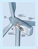 Notice / Instructions de Montage - LEGO - 10268 - Vestas Wind Turbine: Page 11