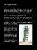 Notice / Instructions de Montage - LEGO - Architecture - 21015 - La tour de Pise: Page 7