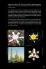 Notice / Instructions de Montage - LEGO - Architecture - 21031 - Burj Khalifa: Page 5