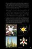 Notice / Instructions de Montage - LEGO - Architecture - 21031 - Burj Khalifa: Page 21