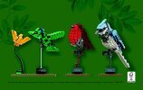 Notice / Instructions de Montage - LEGO - Ideas - 21301 - Les oiseaux: Page 56