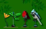 Notice / Instructions de Montage - LEGO - Ideas - 21301 - Les oiseaux: Page 69