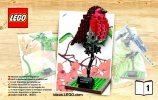 Notice / Instructions de Montage - LEGO - Ideas - 21301 - Les oiseaux: Page 1