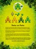 Notice / Instructions de Montage - LEGO - 21318 - Tree House: Page 11