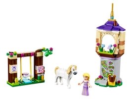 41065 - Rapunzel's Best Day Ever