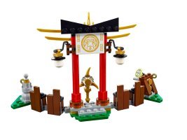 70734 - Master Wu Dragon