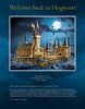 Notice / Instructions de Montage - LEGO - 71043 - Hogwarts™ Castle: Page 3